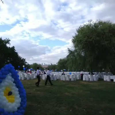 Kına Gecesi Organizasyonu Altın Balon Duvar Süsleme